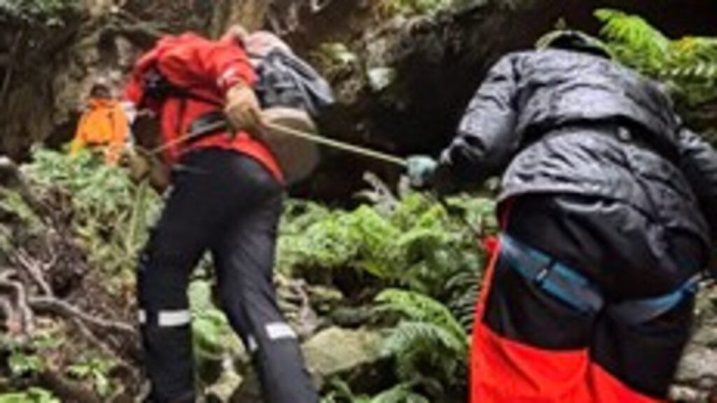 bushwalker-rescued-after-near-24-hour-search