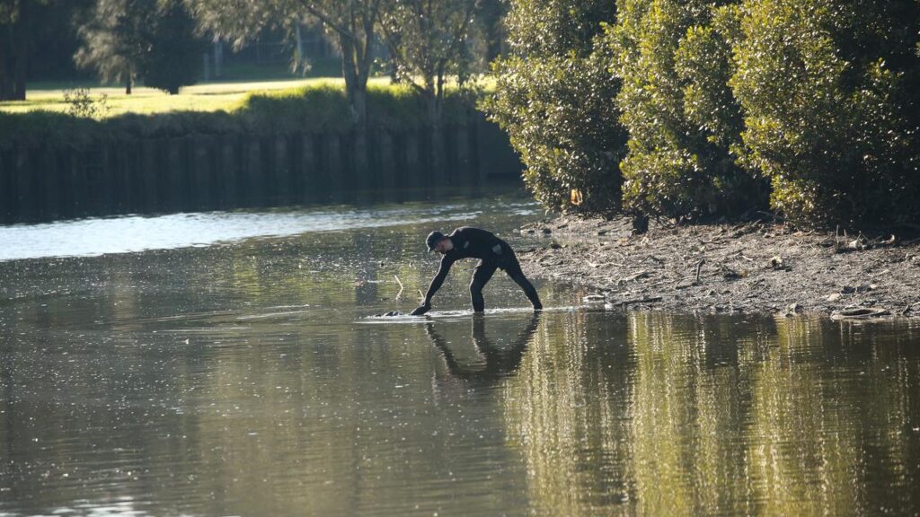 police-search-after-placenta-found-on-sydney-river-bank