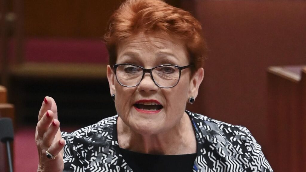 ‘pathetic,-gutless’:-pauline-hanson-unloads-on-anthony-albanese