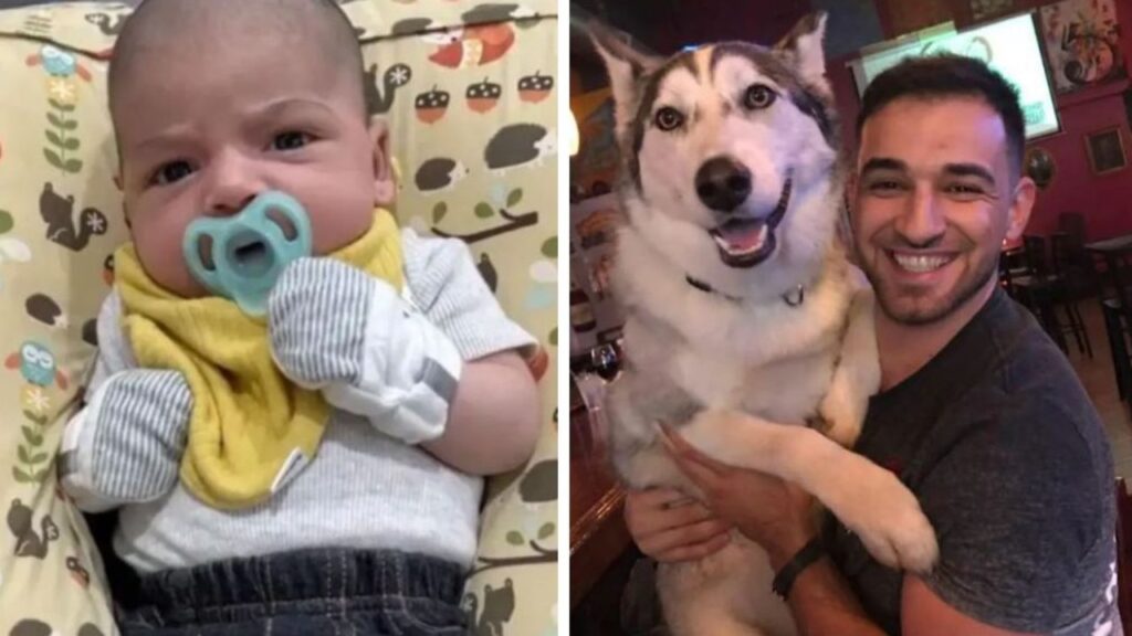 family-husky-mauls-6-week-old-baby-to-death-while-sleeping-in-his-crib