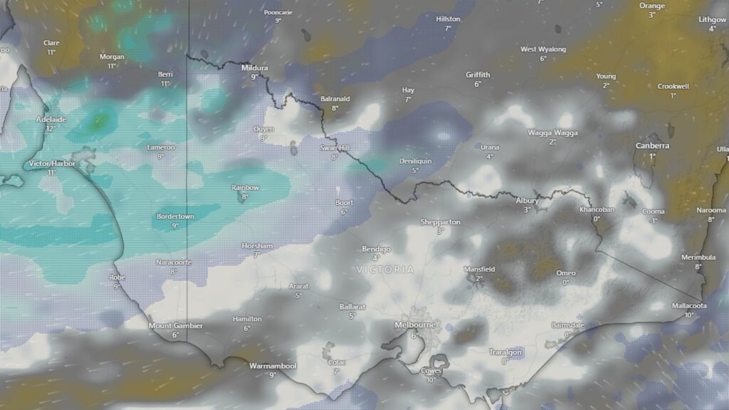 cities-shiver-through-coldest-day-in-five-years