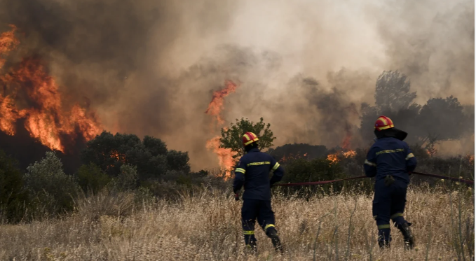 Ηλεία:-Χωρίς-ενεργό-μέτωπο-η-πυρκαγιά-Διάσπαρτες-εστίες-σε-Λάττα-και-Πρόδρομο