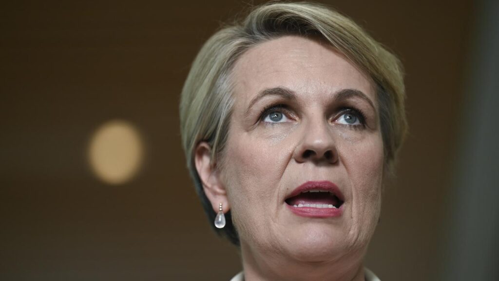 ‘irrational’:-plibersek-blasts-nuke-push