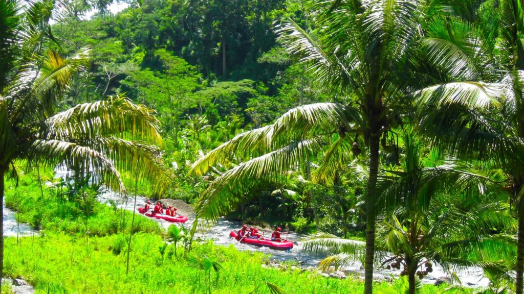 warning-for-aussies-visiting-island-paradise