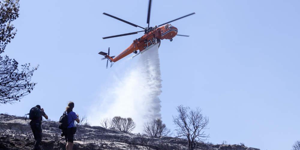 Φωτιά τώρα Φωτιά στον Έβρο κίνδυνος πυρκαγιάς