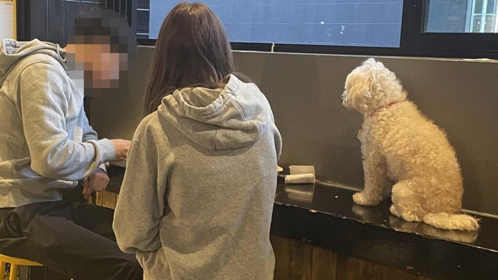 ‘gross’:-pooch-leaves-customers-disgusted