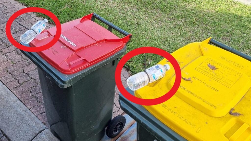 aussies-warned-of-danger-in-bin-act