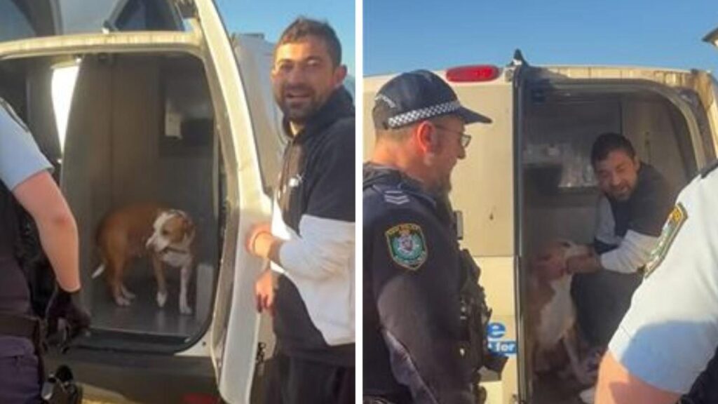 skateboarding-dog-arrested-outside-opera-house