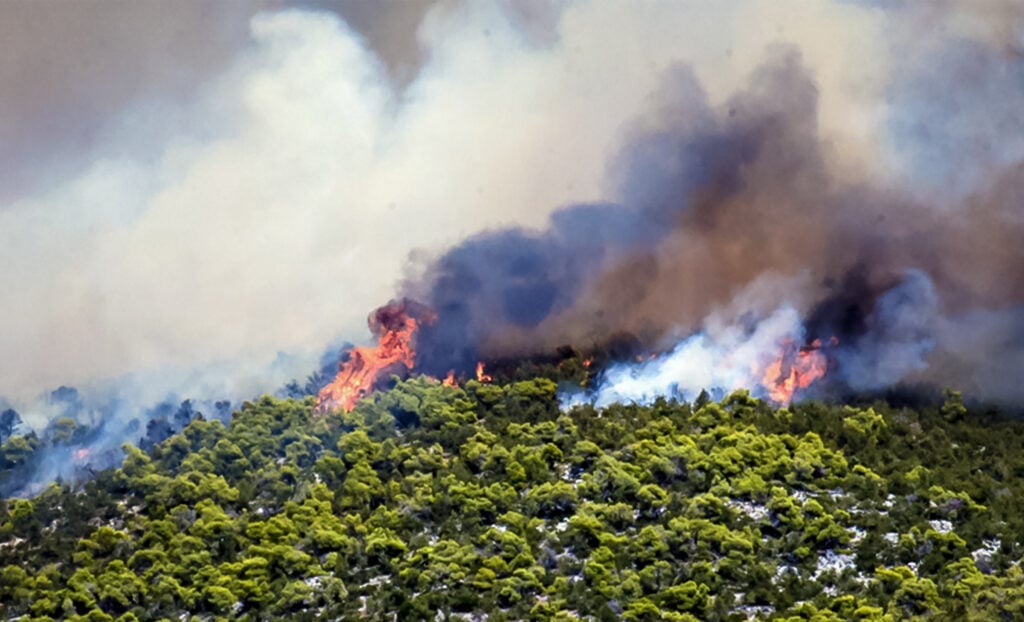 Φωτιά-στην-Εύβοια:-Τεράστια-η-μάχη-με-τις-φλόγες-και-εκκενώσεις-οικισμών-–-Επιχειρούν-και-οι-Ένοπλες-Δυνάμεις-–-Ελεύθερος-Τύπος