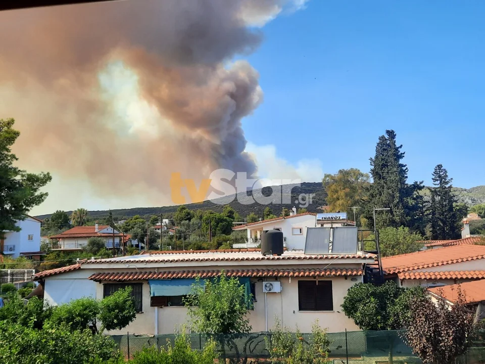 Φωτιά-στην-Εύβοια:-Τιτάνια-μάχη-για-να-προστατευτούν-τα-σπίτια-–-Εντολή-εκκένωσης-για-τρεις-περιοχές-–-Ελεύθερος-Τύπος