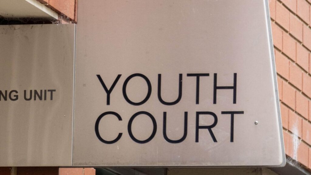 teen-terror-accused-has-smarts-of-8yo:-court