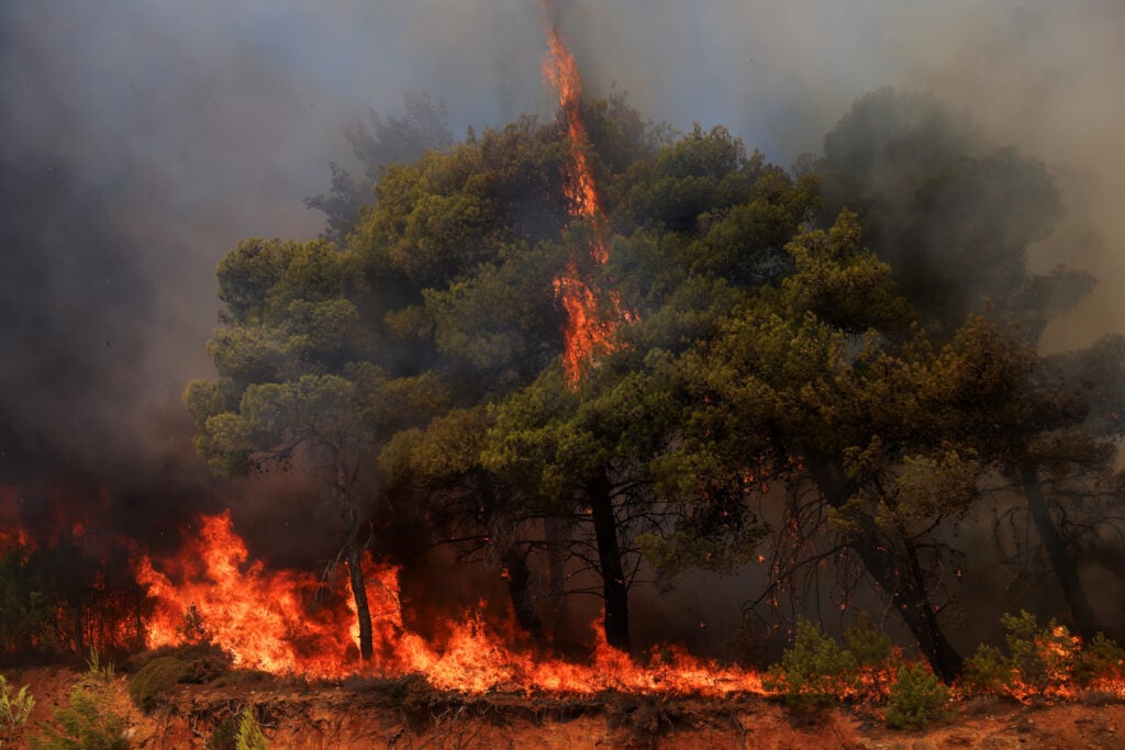 Φωτιά-στην-Αττική:-Σκληρή-μάχη-με-τις-αναζωπυρώσεις