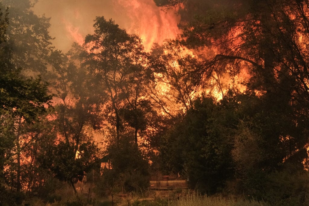 Φωτιά-στην-Αττική:-Βίντεο-–-ντοκουμέντο-με-την-στιγμή-της-έναρξης