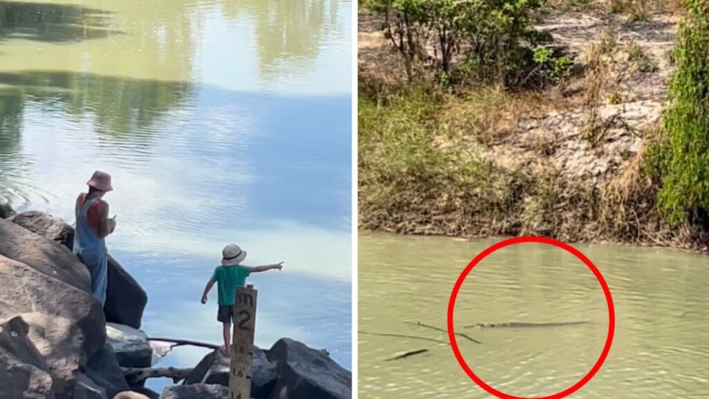 feeding-frenzy:-disturbing-vision-of-family,-including-a-young-child,-playing-in-crocodile-infested-waters-in-kakadu