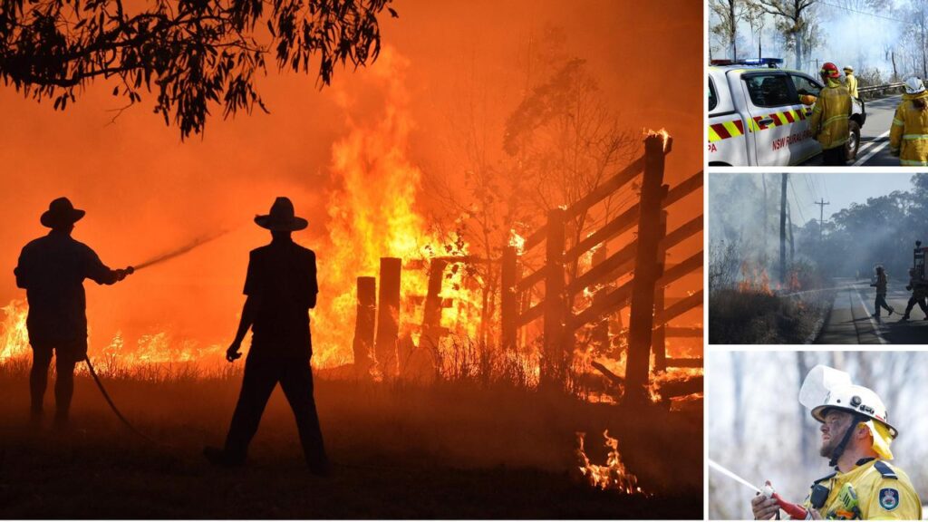 how-do-i-protect-my-house?-what-about-pets?-everything-you-must-know-about-bushfire-season