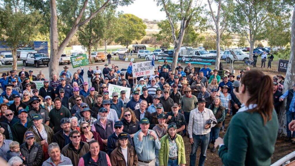 ‘big-trouble’:-farmers-to-descend-on-canberra-to-protest-live-sheep-export-ban