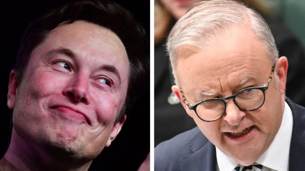 musk’s-surprise-backer-in-fight-with-albo