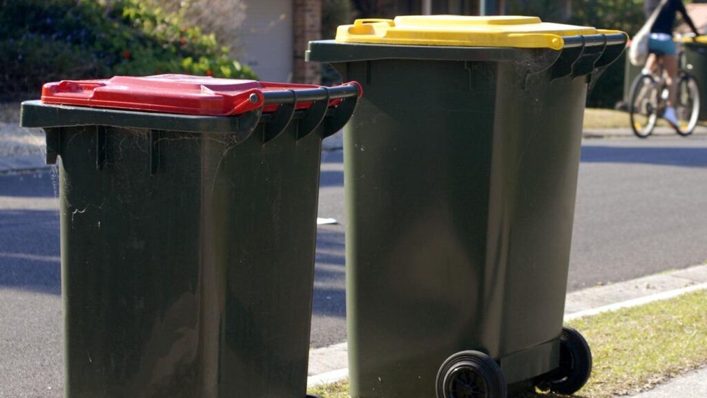 council-threats-residents-with-$312-fine-for-common-bin-act