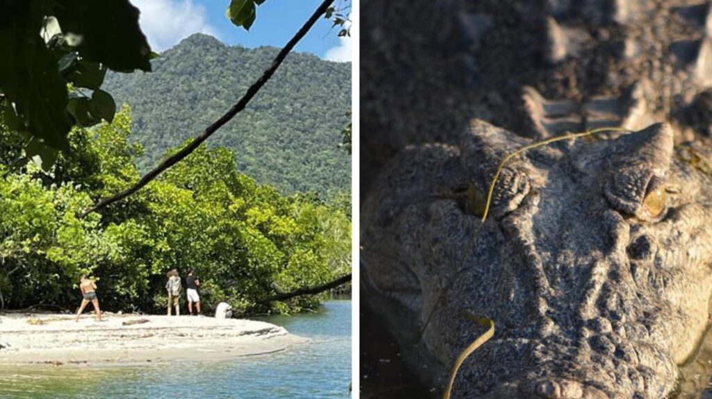 group-slammed-over-‘stupid’-act-at-notorious-crocodile-infested-creek-in-qld