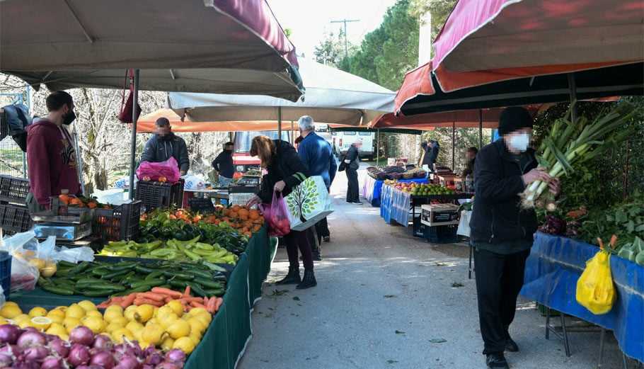 Ερευνα-ΕΤ-στις-λαϊκές-αγορές:-Σταθερά-τα-λαχανικά,-φθηνότερα-τα-φρούτα-–-Ελεύθερος-Τύπος