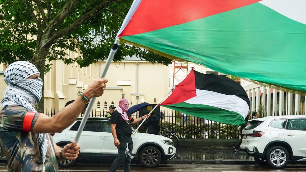 pro-palestine-protesters’-‘inflammatory’-act