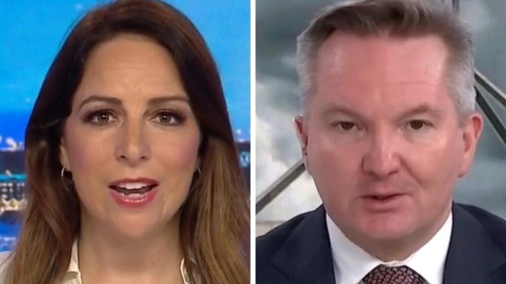 ‘utter-audacity’:-tv-host-slams-chris-bowen-coal-claim