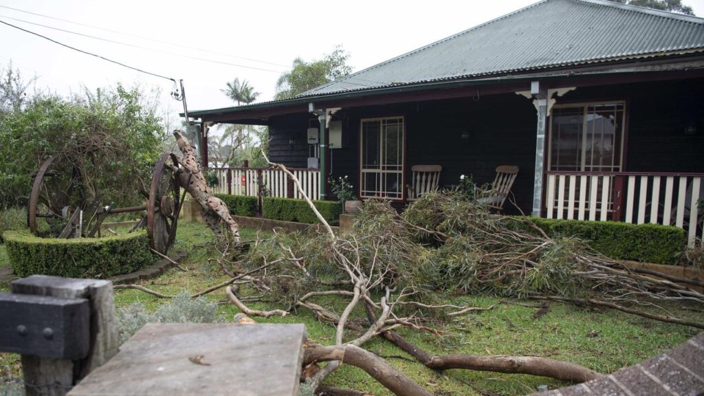 ‘cyclone-like’-storm-decimates-state’s-south