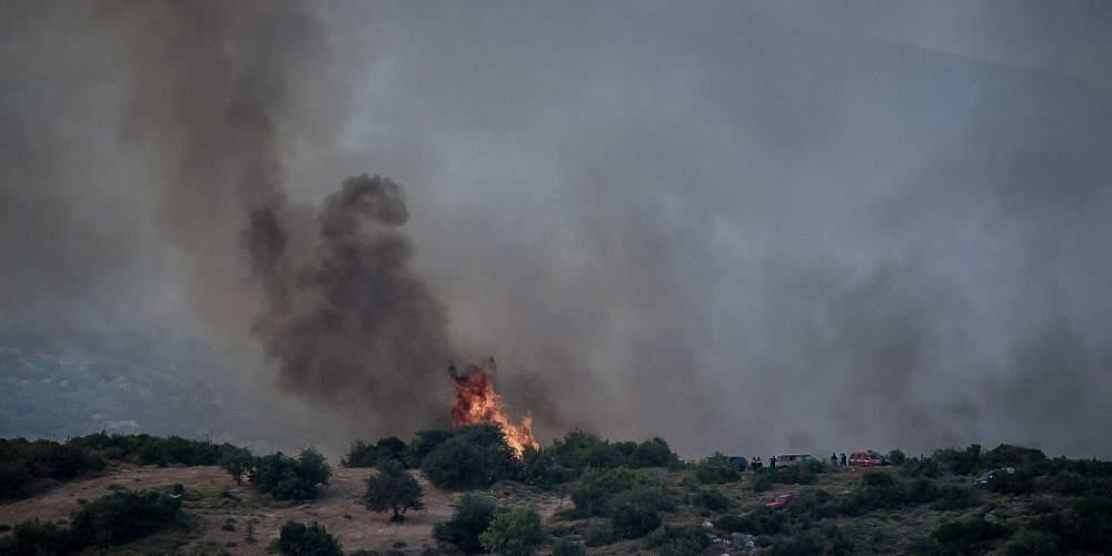 Πυρκαγιά σε εξέλιξη σε δασική έκταση στο Μαρτίνο Φθιώτιδας